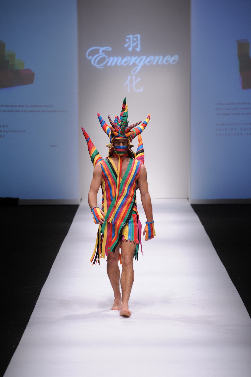 emergence 2012 DƬ
